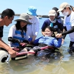 水陸両用車いすに乗って海につかる赤松桃果さん＝阿万海水浴場