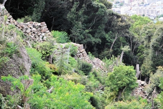 階段状になっているのがはっきりと分かる東側の登り石垣＝洲本市小路谷