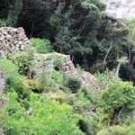 階段状になっているのがはっきりと分かる東側の登り石垣＝洲本市小路谷