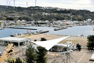 にぎわいづくりへ動き出す丸山漁港。魚彩館（正面下）は閉館が決まった＝南あわじ市阿那賀