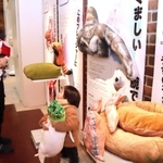 ユーモアあふれる作品が展示された大偏愛展の会場＝ＳＢＲＩＣＫ