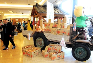 タマネギ小屋などを再現しオープンした洲本市のアンテナショップ＝２０１９年１月、東京都千代田区有楽町