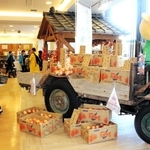 タマネギ小屋などを再現しオープンした洲本市のアンテナショップ＝２０１９年１月、東京都千代田区有楽町