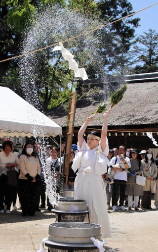 ササを使って釜の湯を振りまく巫女＝伊弉諾神宮