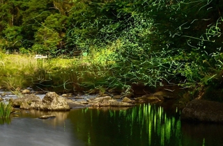 水辺に浮かび上がるホタルの光跡＝洲本市鮎屋（長時間露光で撮影した写真を合成）