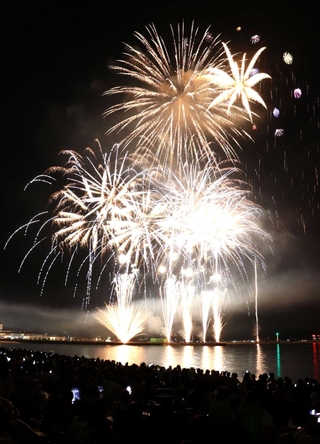 ５年前に夜空を彩った花火＝洲本市、大浜海岸