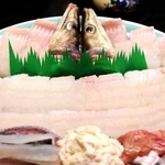 「ハモすき」に使うハモ＝南あわじ市沼島