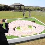 アニメの登場人物を模したフラワーアートなどが並ぶ写真撮影エリア＝淡路市楠本