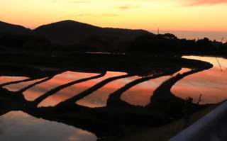夕焼けを鏡のように映す棚田＝淡路市・生田地区