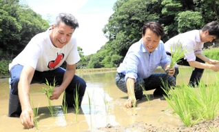 田植え式で苗を植えるパンツェッタ・ジローラモさん（左）ら＝淡路市野島常盤