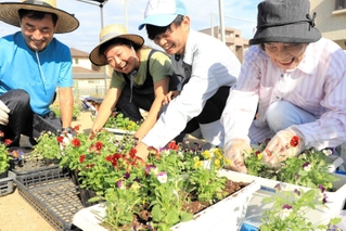 ビオラをプランターに植える富島地区の住民と淡路高校生ら＝淡路市富島