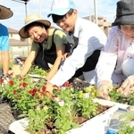 ビオラをプランターに植える富島地区の住民と淡路高校生ら＝淡路市富島