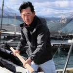 沖のいけすからフグを水揚げする福良漁協の前田若男組合長＝南あわじ市・福良湾