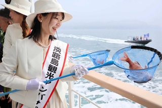 桜鯛を放流する淡路島観光アンバサダー＝南あわじ市沖