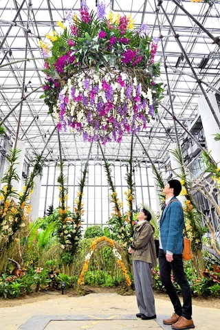 新たに登場した花のシャンデリア＝あわじグリーン館