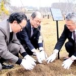 八重桜の苗木に土をかぶせる（左から）さくらプロジェクトの稲葉想会長、ＮＴＴファイナンスの伊藤正三社長、ほくだんの米山正幸社長＝北淡震災記念公園