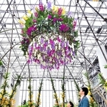 新たに登場した花のシャンデリア＝あわじグリーン館