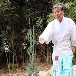 里帰りした河上神社のイブキの後継樹＝洲本市五色町鮎原南谷