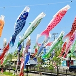 県道沿いに展示されている色とりどりのこいのぼり＝淡路市志筑