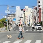 路線価で島内最高価格となった「いわた通り」＝洲本市栄町２