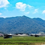 夏の諭鶴羽山系＝南あわじ市北阿万新田中から