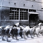 ご真影を奉拝する沼島小学校の児童ら（１９４４年撮影、沼島地区公民館所蔵）
