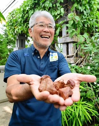 ヒスイカズラの種子を手に満面の笑顔を見せる石田均ディレクター＝あわじグリーン館
