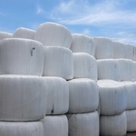 生産されたＷＣＳのロール＝南あわじ市松帆北方