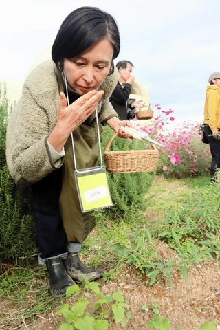 農園でハーブの収穫を体験する参加者＝淡路市野島常盤