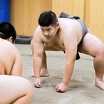 道場で稽古に励む苔口遥真さん＝南あわじ市福良乙