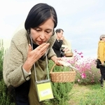 農園でハーブの収穫を体験する参加者＝淡路市野島常盤