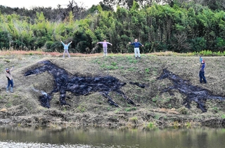 野焼きで描かれた親子の馬。大きさは約１０メートルと５メートルだ＝洲本市五色町都志大日
