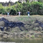 野焼きで描かれた親子の馬。大きさは約１０メートルと５メートルだ＝洲本市五色町都志大日