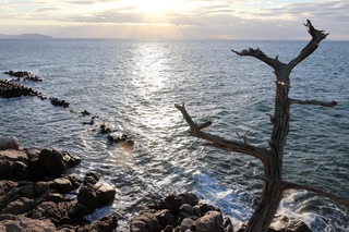 海に張り出した小山のような明神岬。夕日が映える海と空を一望できる＝淡路市明神