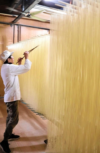 乾燥前のそうめんがひっつかないよう、箸でほぐす「箸入れ」作業をする金山守良さん＝南あわじ市福良乙