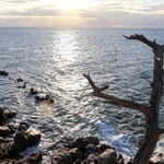 海に張り出した小山のような明神岬。夕日が映える海と空を一望できる＝淡路市明神