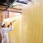 寒風磨かれる白　福良のそうめん作りが最盛期　11軒が専業　強いコシ、職人技の逸品　南あわじ