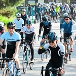 春のアワイチ　淡路島一周150キロに挑戦　3月15日開催、300人募集