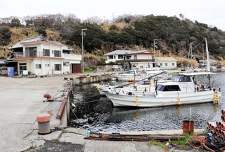 斉藤さんが救出された津井港＝南あわじ市津井