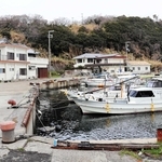 斉藤さんが救出された津井港＝南あわじ市津井