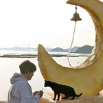 猫との共生、キッチンカーから広がれ共感の輪　明石の山内さん　野良猫保護活動と両立