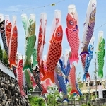 県道沿いで悠々と泳ぐこいのぼり。町を活気づけている＝淡路市志筑