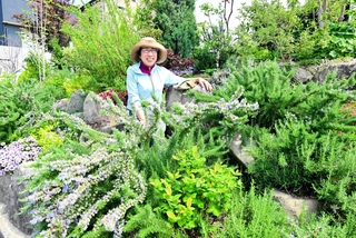 庭の入口にあるロックガーデンで花と緑に囲まれる辻元智子さん＝淡路市岩屋