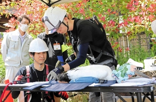 足環を取り付けられるコウノトリのひな＝淡路市内