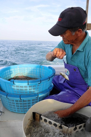生きたアジを針に付け、海中に投入していく安達金次さん＝南あわじ市沼島沖