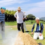 わらに粘土をかぶせた窯で土器を焼く「五斗長の風」のメンバーら＝淡路市黒谷