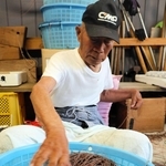 絡んだ縄をほどいていく「縄繰り」の作業＝南あわじ市沼島