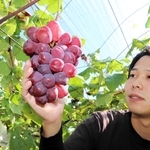 ５年掛かりで栽培した「富士の輝」の収穫を喜ぶ田中雅貴さん＝淡路市山田甲