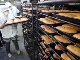 給食のコッペパンを作る高砂食品の従業員ら＝高砂市高砂町鍵町