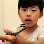 シロマダラと、見つけた村上英暉君＝明石市大久保町大久保町